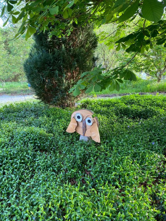 Urlaub In Der Natur Lüdenscheid Zewnętrze zdjęcie