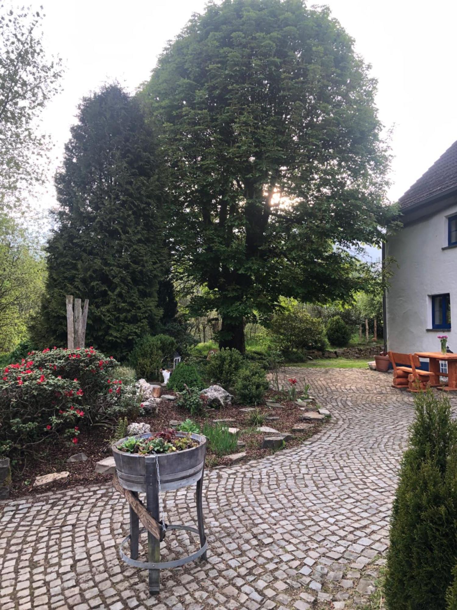 Urlaub In Der Natur Lüdenscheid Zewnętrze zdjęcie